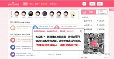 从“磕炮”“文爱”，到被网络软色情包围的未成年人-激流网